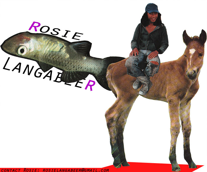 Welcome to Rosie Langabeer Dot Com! This is a picture of a donkey and a fish.